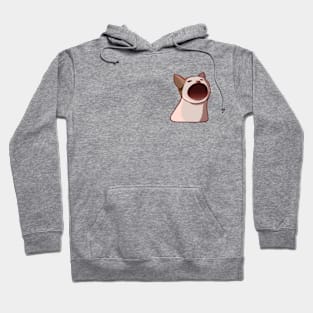 Pop Cat Hoodie